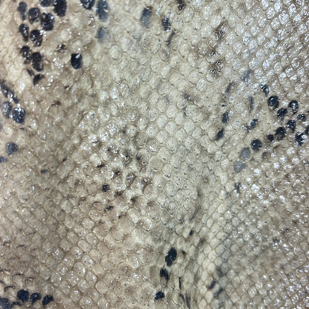 Coach Madison Lindsey Ltd Ed Python Embossed Purse - Picture 17 of 17